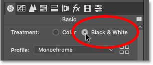 Setting the Treatment option in Photoshop\'s Camera Raw Filter to Black & White