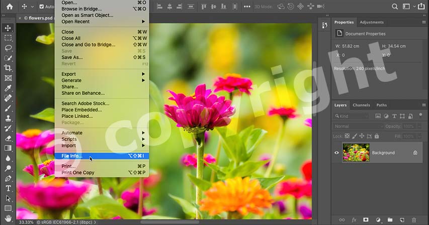 How to Add Contact and Copyright Info to Images with Photoshop